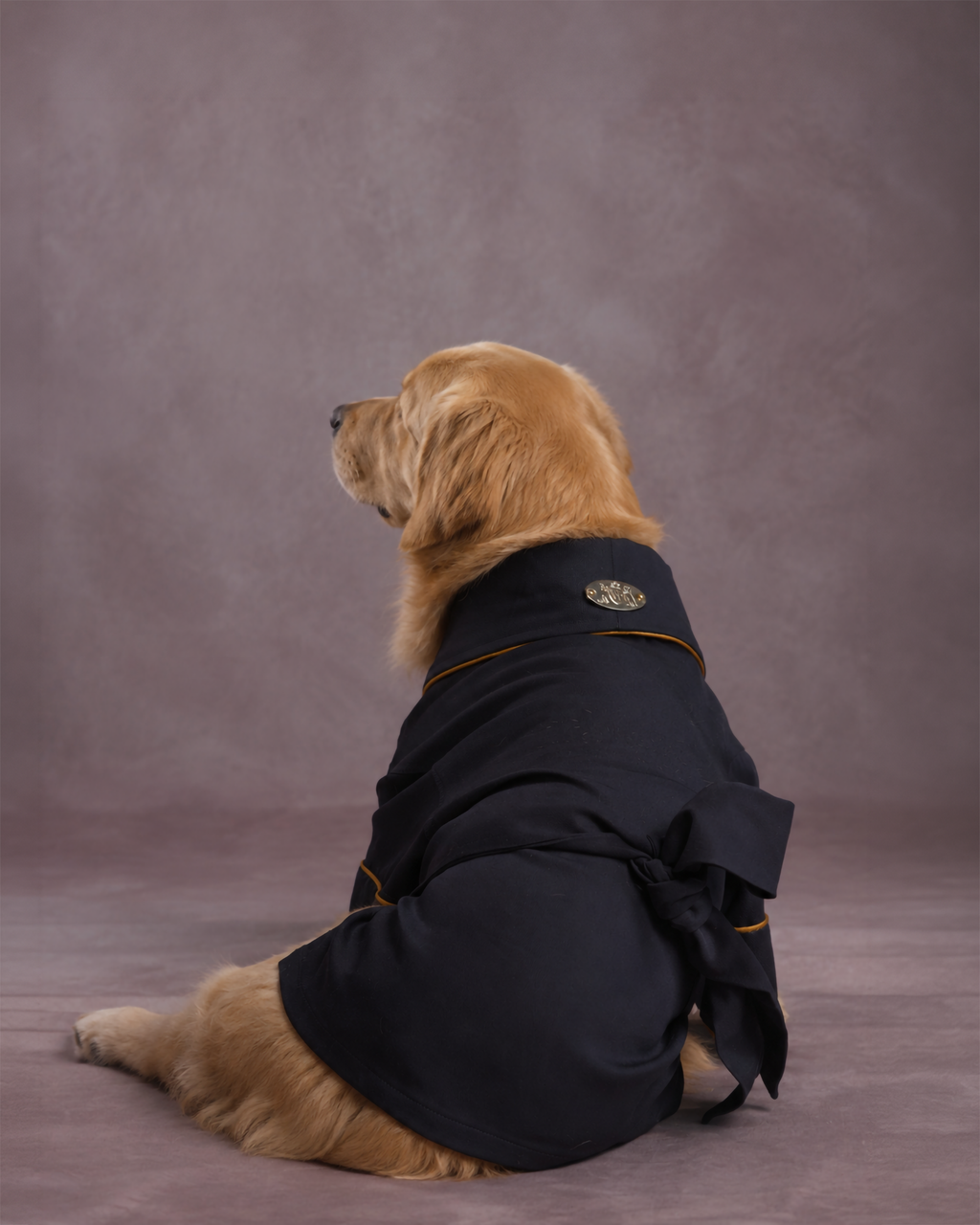 A golden retriever dog sitting on a textured gray studio floor, wearing a black dog dressing gown kimono with gold trim and a small crest emblem on the back.