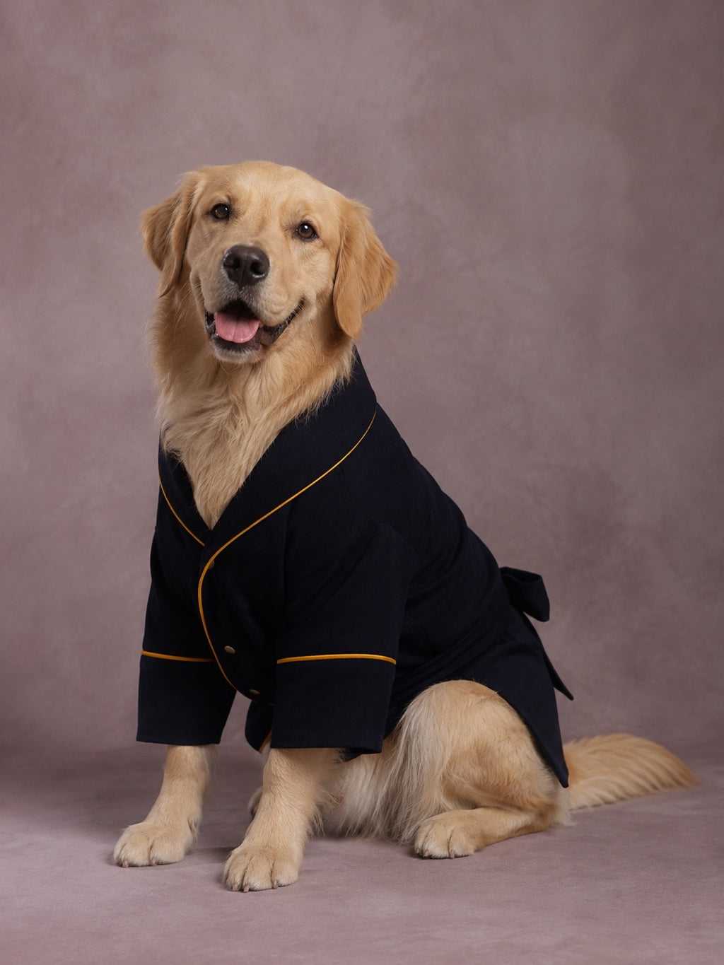 A golden retriever dog wearing a navy blue pet dressing gown robe with gold piping, sitting against a solid mauve studio backdrop.