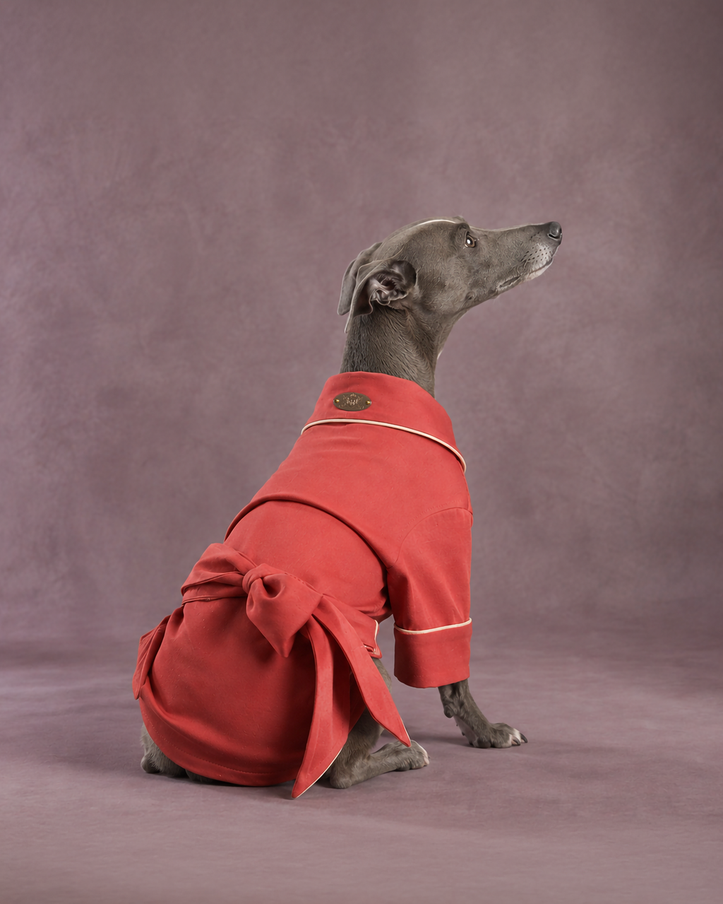 A grey dog wearing a red long-sleeve dressing gown robe with white piping and a large bow at the back, posed against a solid mauve studio backdrop.