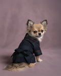 A small long-haired dog wearing a dark navy plaid dressing gown kimono-style outfit with red piping and a bow, posed against a solid mauve studio backdrop.