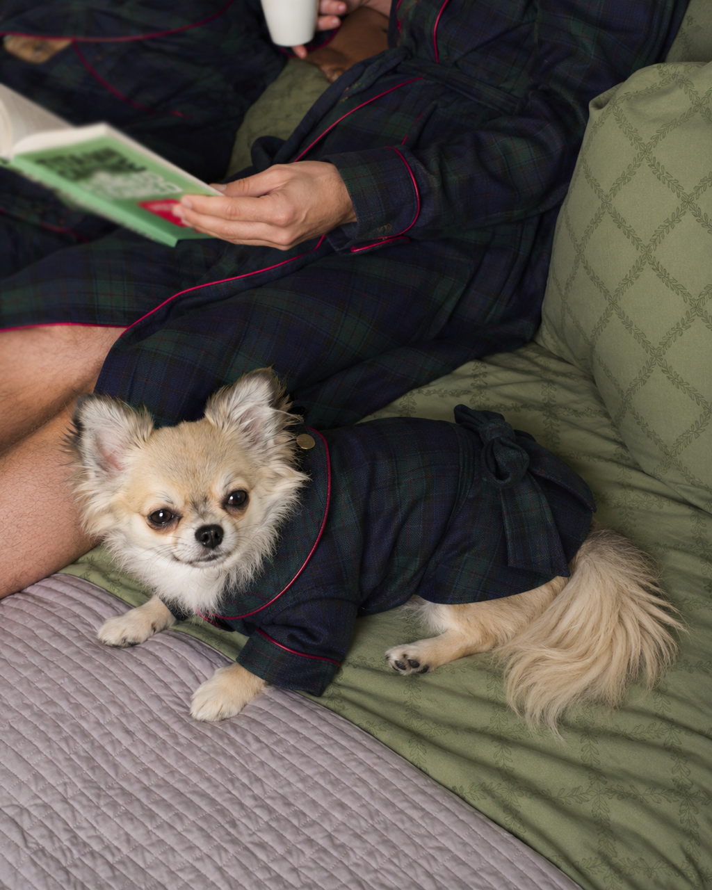 A small fluffy dog wearing a dark green plaid dressing gown robe with red piping sits on a quilted green couch while a person in matching pajamas relaxes nearby reading a book.